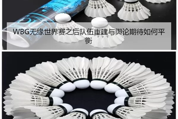 WBG无缘世界赛之后队伍重建与舆论期待如何平衡